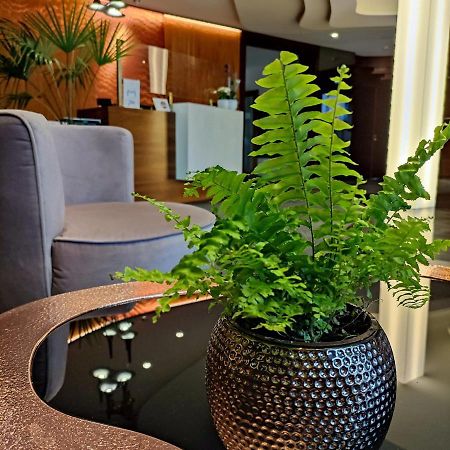 Bazuny Hotel&Spa Косцежина Екстериор снимка